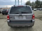 2008 Ford Escape Limited