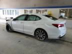 2019 Acura TLX