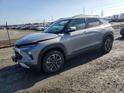 Salvage cars for sale at Eugene, OR auction: 2024 Chevrolet Trailblazer LT