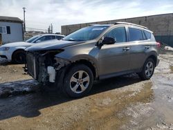 Salvage cars for sale at Laurel, MD auction: 2023 Toyota Rav4 XLE