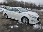 2013 Hyundai Sonata Hybrid