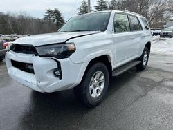 SUV salvage a la venta en subasta: 2024 Toyota 4runner SR5/SR5 Premium