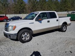 Salvage cars for sale from Copart Gainesville, GA: 2009 Ford F150 Supercrew