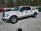 2009 Ford F150 Supercrew