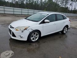 Salvage cars for sale at Harleyville, SC auction: 2012 Ford Focus SE