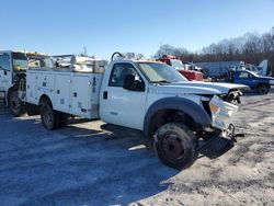 Salvage trucks for sale at Gastonia, NC auction: 2012 Ford F450 Super Duty