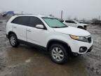 2011 KIA Sorento Base