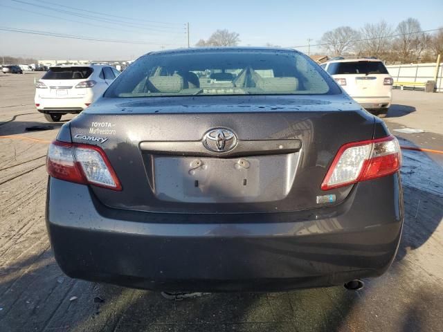 2009 Toyota Camry Hybrid