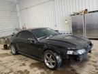 2001 Ford Mustang GT