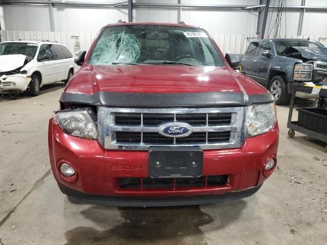 2011 Ford Escape XLT