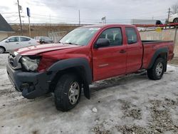 Toyota salvage cars for sale: 2014 Toyota Tacoma Access Cab