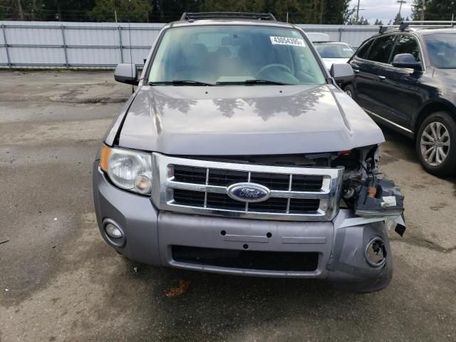 2008 Ford Escape HEV