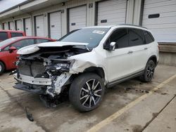 Salvage cars for sale at auction: 2019 Honda Pilot Elite