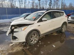 Salvage cars for sale from Copart Moncton, NB: 2013 Ford Escape SEL