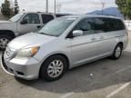 2010 Honda Odyssey EXL