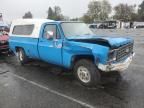 1976 Chevrolet C20 Pickup