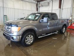 SUV salvage a la venta en subasta: 2013 Ford F150 Supercrew