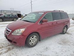 Honda Odyssey exl salvage cars for sale: 2005 Honda Odyssey EXL