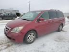 2005 Honda Odyssey EXL