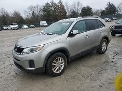 Salvage cars for sale at Madisonville, TN auction: 2015 KIA Sorento LX