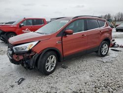 Salvage cars for sale at Wayland, MI auction: 2019 Ford Escape SEL