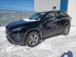 Salvage cars for sale from Copart Elmsdale, NS: 2024 Toyota Rav4 LE