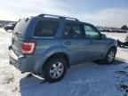 2010 Ford Escape Limited