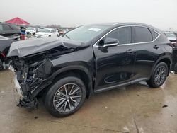 Lexus salvage cars for sale: 2025 Lexus NX 250 Base