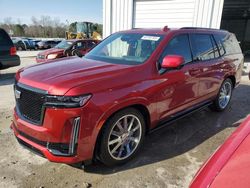 Salvage cars for sale at Montgomery, AL auction: 2024 Cadillac Escalade Sport