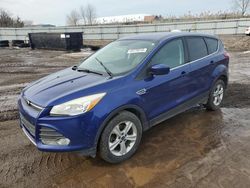 2014 Ford Escape SE en venta en Columbia Station, OH