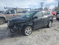 Salvage cars for sale at Wayland, MI auction: 2019 Ford Escape SE