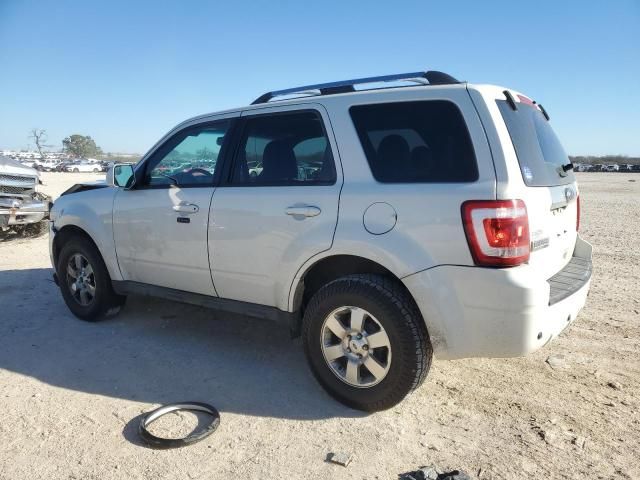 2012 Ford Escape Limited