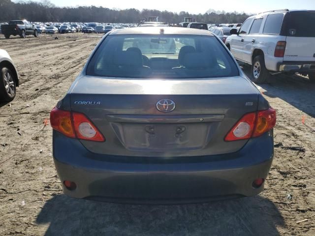 2010 Toyota Corolla Base