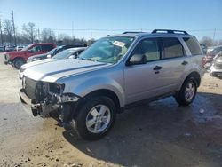 Salvage cars for sale from Copart Lawrenceburg, KY: 2012 Ford Escape XLT