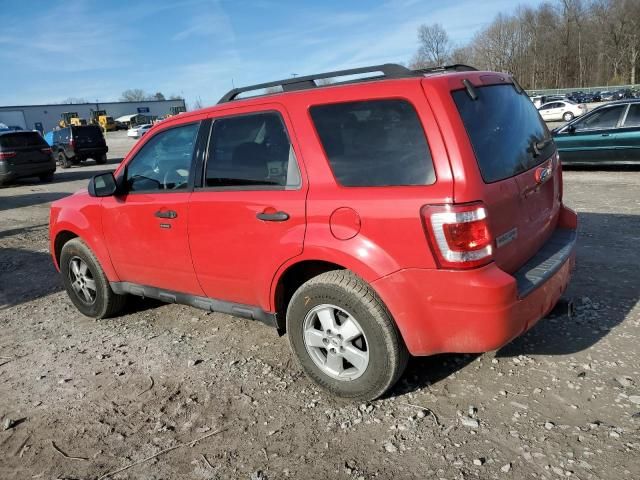 2009 Ford Escape XLT