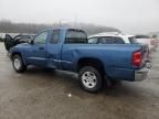 2005 Dodge Dakota SLT