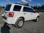 2008 Ford Escape HEV