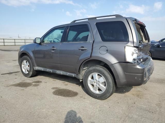 2011 Ford Escape XLT