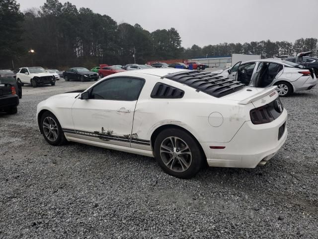 2013 Ford Mustang