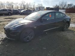 Salvage cars for sale at Baltimore, MD auction: 2023 Tesla Model 3