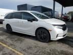 2023 Honda Odyssey SPORT-L