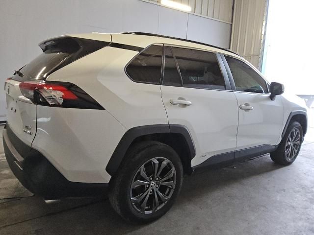 2023 Toyota Rav4 XLE Premium