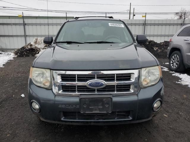 2008 Ford Escape XLT