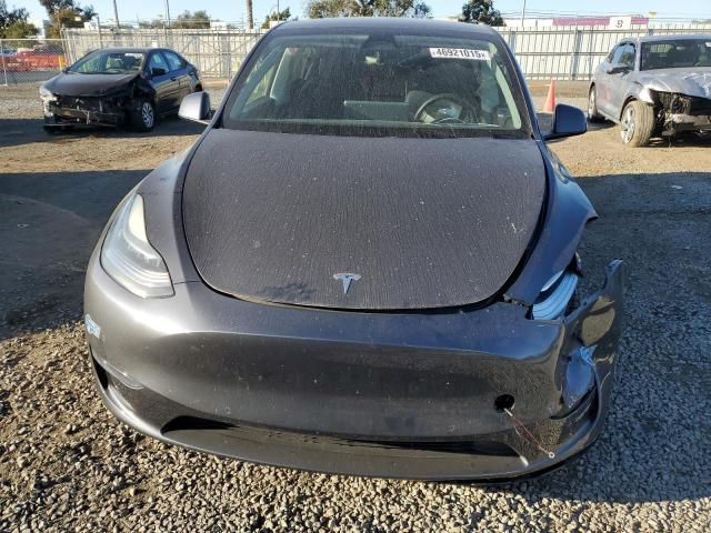 2020 Tesla Model Y