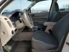 2011 Ford Escape XLS