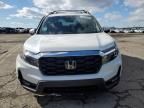 2023 Honda Passport EXL