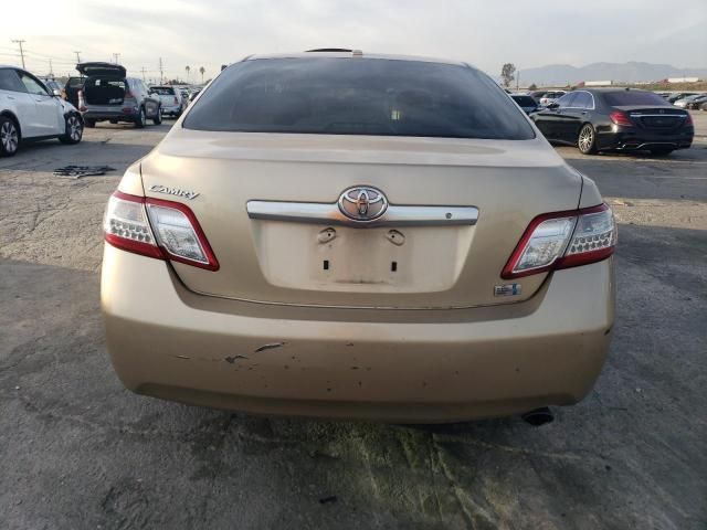 2010 Toyota Camry Hybrid