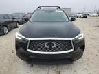 2024 Infiniti QX50 Sensory