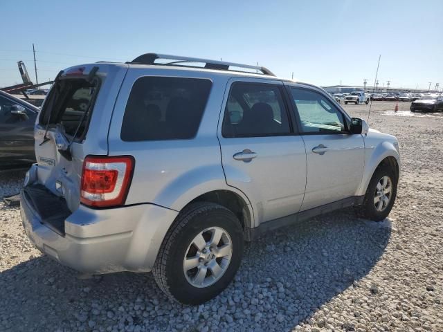 2010 Ford Escape Limited