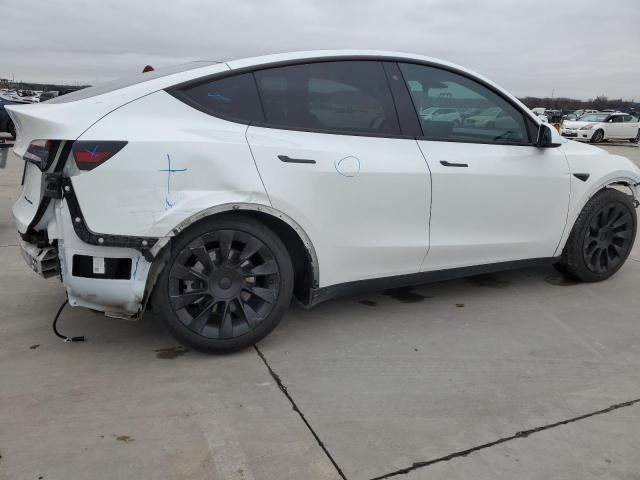 2020 Tesla Model Y